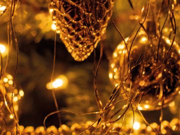 Bis zu 250 € Weihnachtsgeld von AllesBrille Berlin